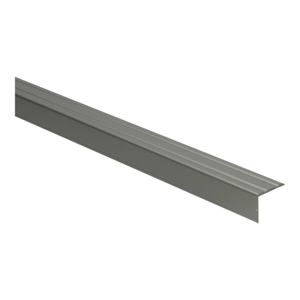 Hoeklijnprofiel 20 mm 1m RVS