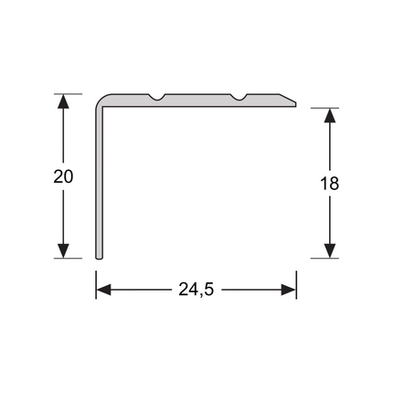 Hoeklijnprofiel 20 mm 1m RVS