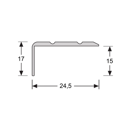 Hoeklijnprofiel 17 mm 3m RVS Geborsteld