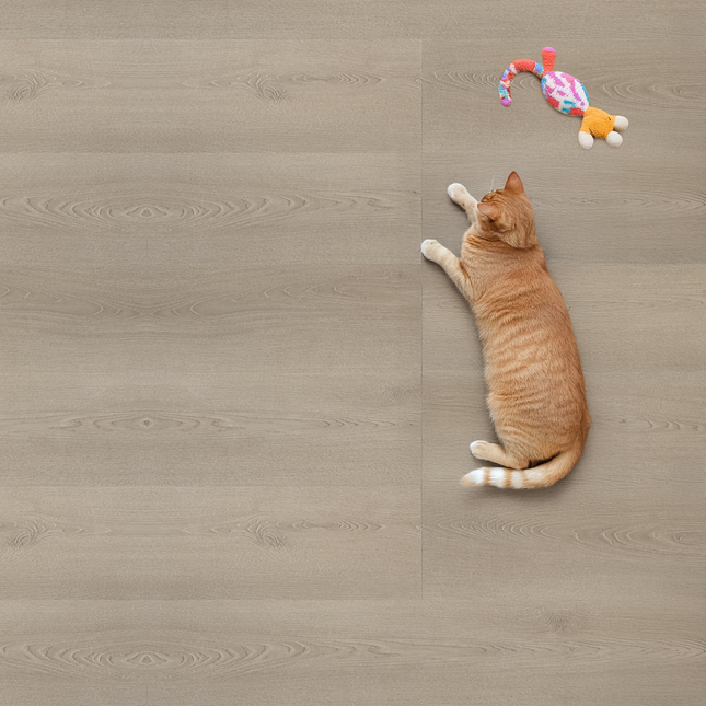 Mira Klik PVC Silva Rechte plank - Brown Grey Oak